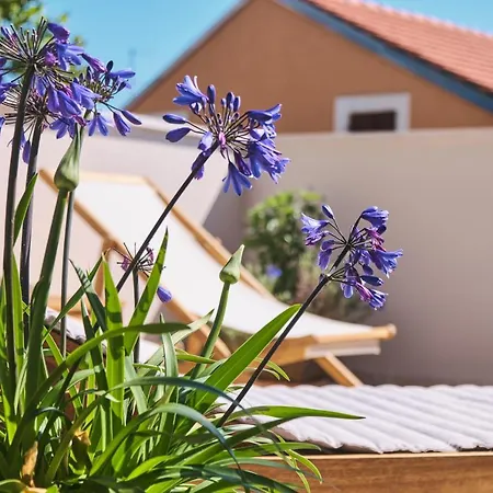 Casa Santa Maria Semesterbostad Mali Lošinj